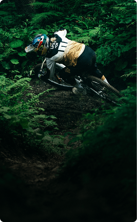 Vali Höll biking through a lush green forest.